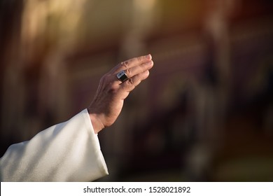 Pope greets the pilgrims during his weekly general audience                          