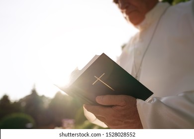 Pope reads the Bible in the garden