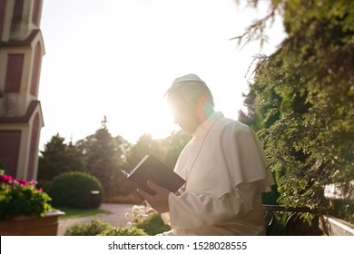 Pope reads the Bible in the garden