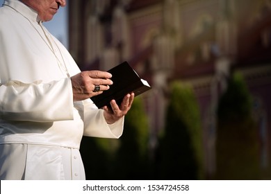 Pope reads the Bible in the garden                               