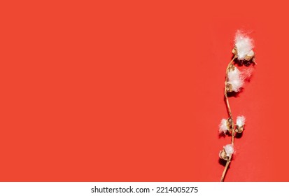 Poplar fluff worm on red background, minimalism abstract natural pattern. banner with copy space. High quality photo - Shutterstock ID 2214005275