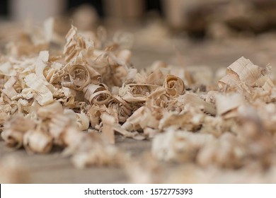 Poplar wood shaving laying on the workshop floor design studio. Blurry background. Vintage woodworking, handwork, handmade. Beautiful carving material