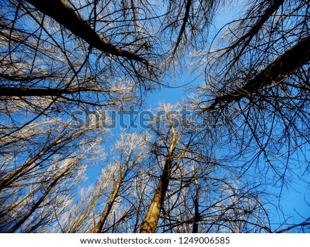 Similar – Image, Stock Photo Wind power at Roßkopf 8