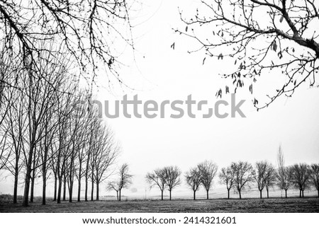 Similar – behind tree gate right