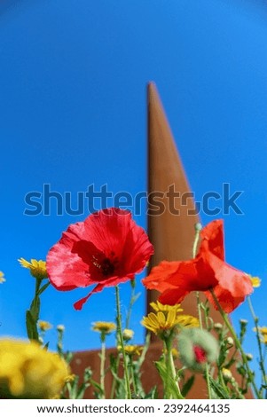 Poppies in front of Bomber Command Centre Lincoln 