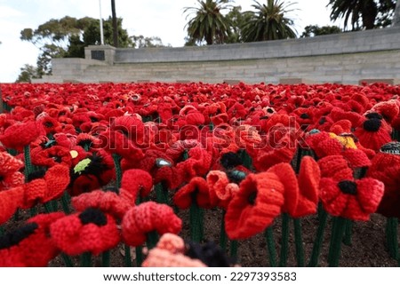 Poppies laid in front of the State War Memorial, Kings Park, Perth WA. The poppies remind those who lost their lives in the ANZAC Gallipol war.