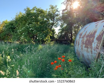 Poppies Next To Industrial Tank. Urban Decay