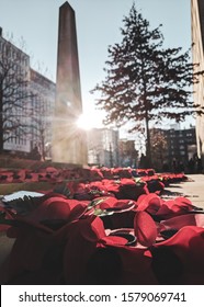 Poppies Outside St Peters Square, Manchester, UK On A Winter's Day 