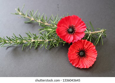 Poppies And Rosemary For Remembrance Worn On Anzac Day And Remembrance Day