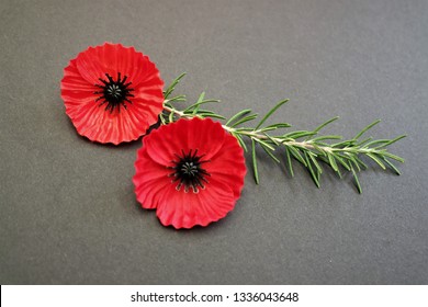 Poppies And Rosemary For Remembrance Worn On Anzac Day And Remembrance Day