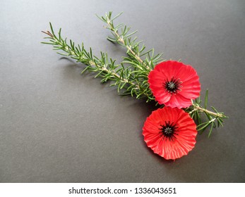 Poppies And Rosemary For Remembrance Worn On Anzac Day And Remembrance Day