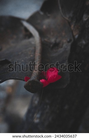 a poppy, being held by a nail that was used in WW1 death rail,both being help by what looks to be a piece of metal. 