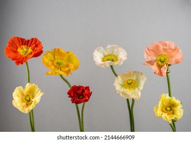 Poppy blossom also lying book, romantically decorated - Powered by Shutterstock