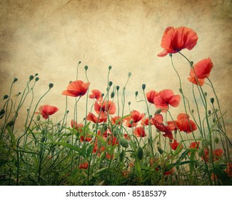 Poppy flower field. Texture and grain added