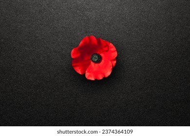 Poppy flower on black textured background. Decorative flower for Remembrance Day. Memorial Day. Veterans day.