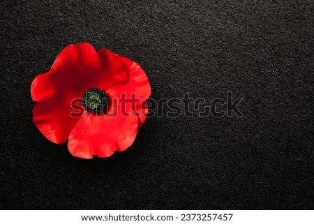 Poppy flower on black textured background with place for your text. Decorative flower for Remembrance Day. Memorial Day. Veterans day.