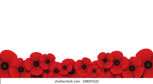 remembrance poppy background