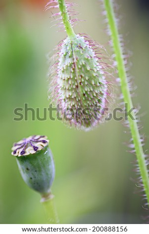 Similar – Image, Stock Photo And once again the three friends…