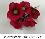 A poppy flower for war veterans organization