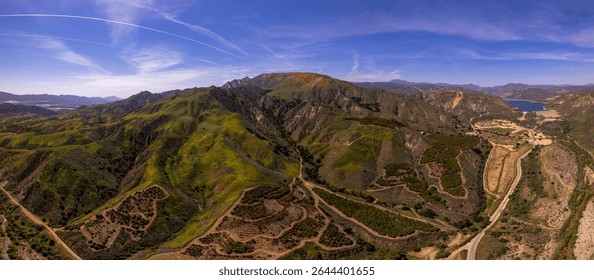 Poppy flowers blooming adjacent lake piru in Southern California. Shot with a DJI Mavic air 2S drone. 
