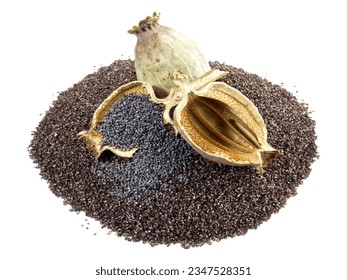 Poppy Seed Capsule with grated Poppy Seeds on white Background, Isolated.