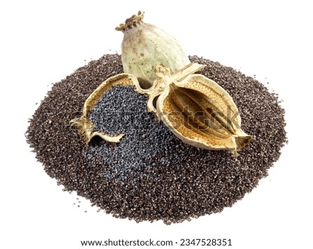 Image, Stock Photo poppy seed capsules picked