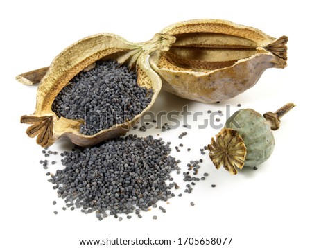Similar – Image, Stock Photo poppy seed capsules picked