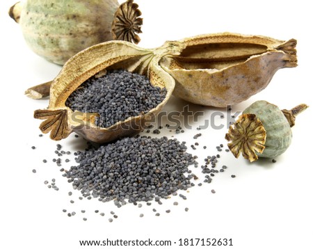 Similar – Image, Stock Photo poppy seed capsules picked