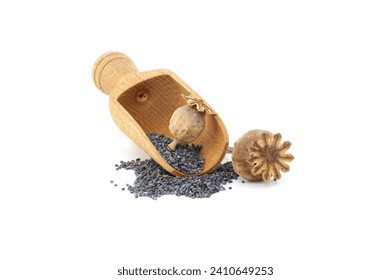 Poppy seed pods and seeds in wooden scoop on white isolated on white background, full depth of field