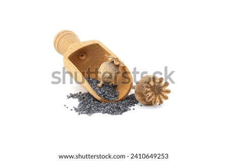 Similar – Image, Stock Photo poppy seed capsules plants