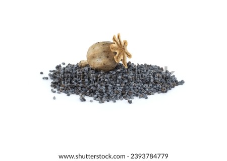Similar – Image, Stock Photo poppy seed capsules plants