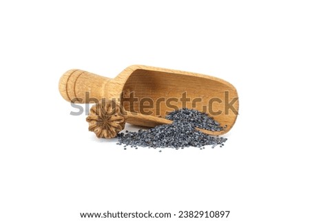 Similar – Image, Stock Photo poppy seed capsules plants