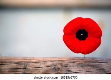 Poppy For World War I Remembrance Day