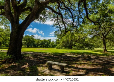 Popular Audubon Park In New Orleans, Louisiana.