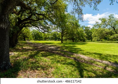 Popular Audubon Park In New Orleans, Louisiana.