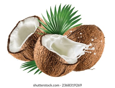 Popular coconuts with health benefits png.	