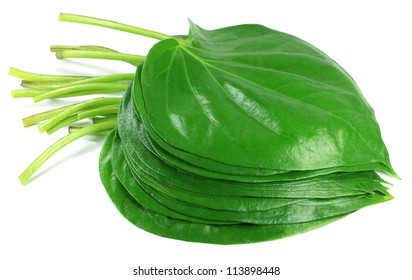 paan leaf images stock photos vectors shutterstock https www shutterstock com image photo popular edible betel leaf indian subcontinent 113898448