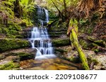 The popular Myrtle Gully Falls situated on the slopes of Mt Wellington on a warm spring day in Hobart, Tasmania, Australia