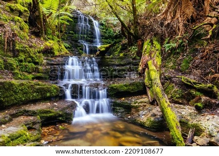 The popular Myrtle Gully Falls situated on the slopes of Mt Wellington on a warm spring day in Hobart, Tasmania, Australia
