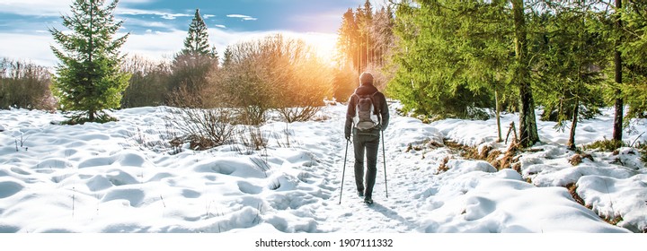 Popular Winter Outdoor Activities. Male Hiker Hiking With Backpack And Nordic Walking Poles In The Snow.