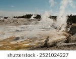 Porcelain Basin hot springs in Yellowstone National Park Norris Geyser Basin