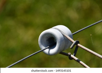 Porcelain Electric Fence Insulator Images Stock Photos Vectors Shutterstock