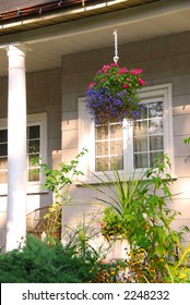 Porch Of A Cozy House With Blooming Flowers