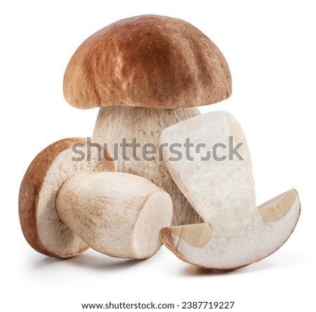 Porcini mushrooms isolated on white background. File contains clipping path.