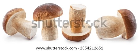 Porcini mushrooms on white background. File contains clipping paths.