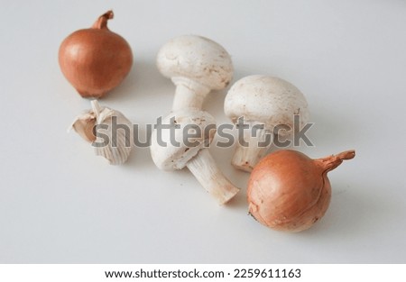 porcini mushrooms, onion, garlic on a white background