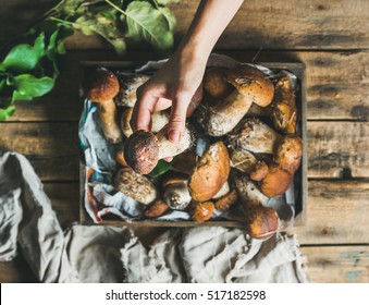 Porcini mushrooms in wooden tray over rustic background and woman's hand holding one mushroom, top view