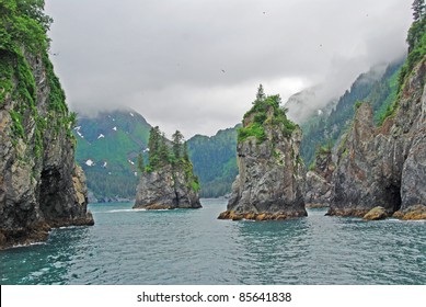 Porcupine Bay In Kenai Fjords National Park