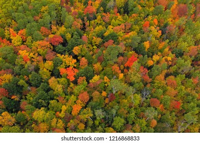 Porcupine Mountains Fall Color Aerial 
