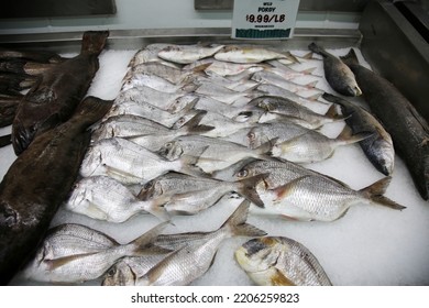 Porgy. Wild Caught Porgy Fish On Ice For Sale In A Fish Market. People World Wide Love Eating Fresh Caught Porgy For Lunch And Dinner. Seafood For Sale On Ice. 